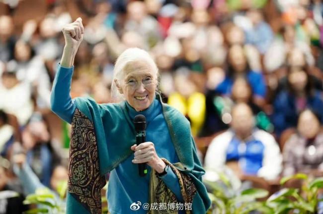 动物科普专家追忆珍·古道尔 课本上的传奇人物