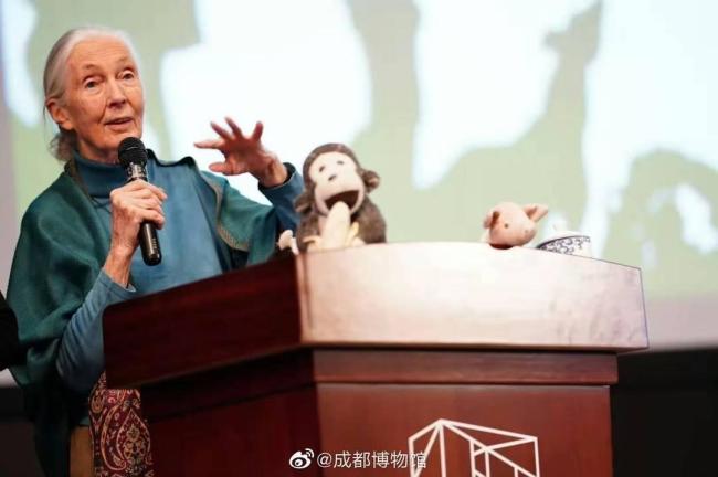 动物科普专家追忆珍·古道尔