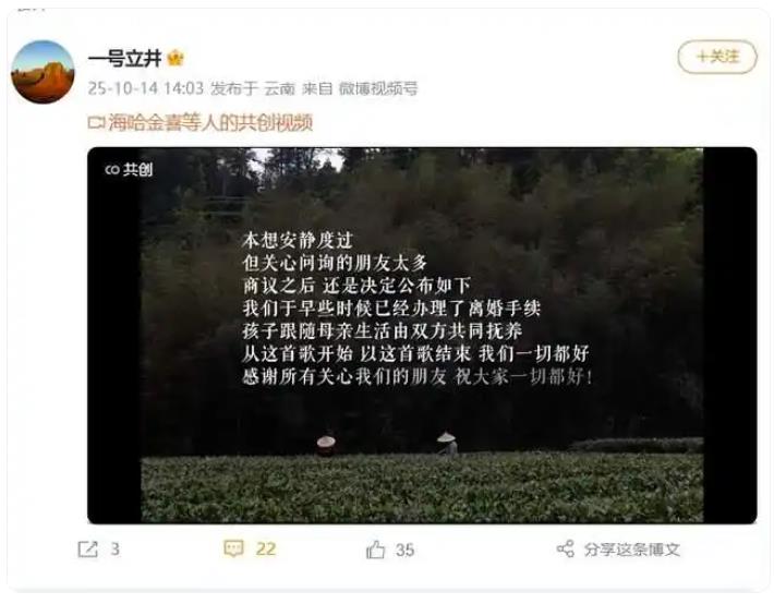 李亚鹏与海哈金喜离婚