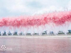 蔡国强在巴黎再办烟花秀 白色焰火震撼人心【看点】