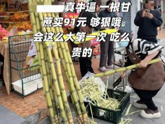 消费者称花91元买一根甘蔗 店主回应 高价绿皮甘蔗引热议【看点】