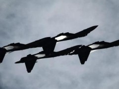 俄苏-35S战机性能如何 高效现代战斗机典范【看点】