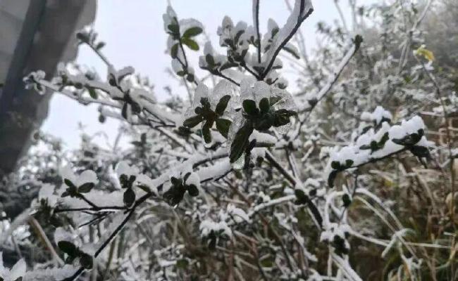 广东冷到&ldquo;结冰&rdquo;了
