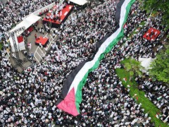 英法爆发大规模游行声援巴勒斯坦 和平与仇恨的界限模糊【看点】