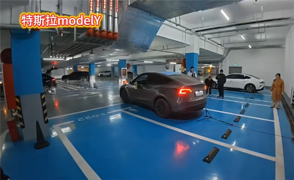 实测多款热门车自动泊车