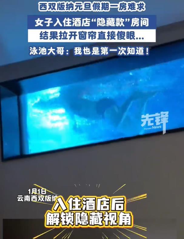 酒店回应房间拉开窗帘是泳池：将整改