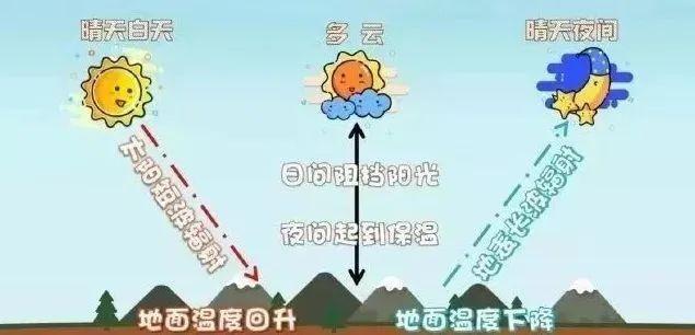 你如何看多地出现&ldquo;三九暖如春&rdquo;现象 昼夜温差大引关注