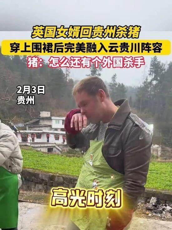 英国女婿回村杀猪过年