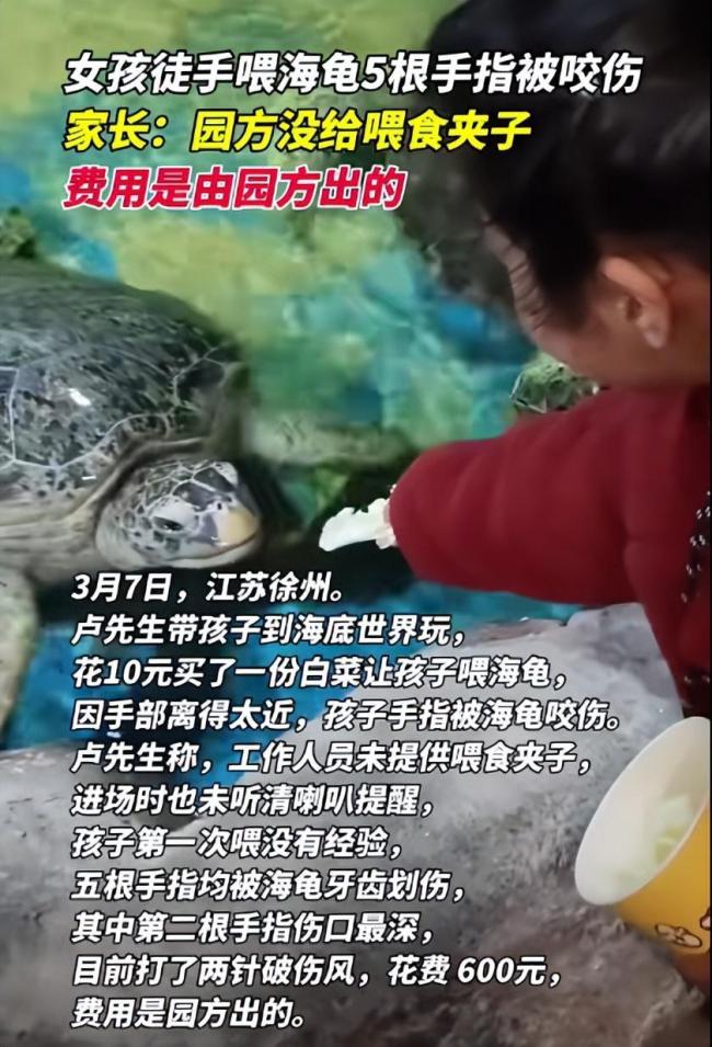 女孩徒手喂海龟5根手指被咬伤