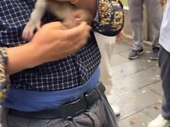 男子想抓猕猴宝宝回家养遭拦 游客与保安合力制止【看点】